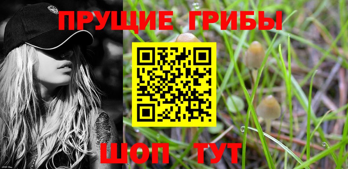 Псилоцибиновые грибы MAGIC MUSHROOMS Полевской