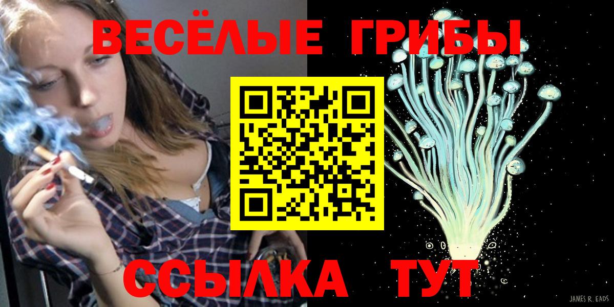 Галлюциногенные грибы Cubensis  Вход с VPN  Полевской 
